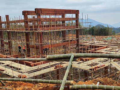 阜南古建设计公司，以精湛施工展现历史建筑韵味